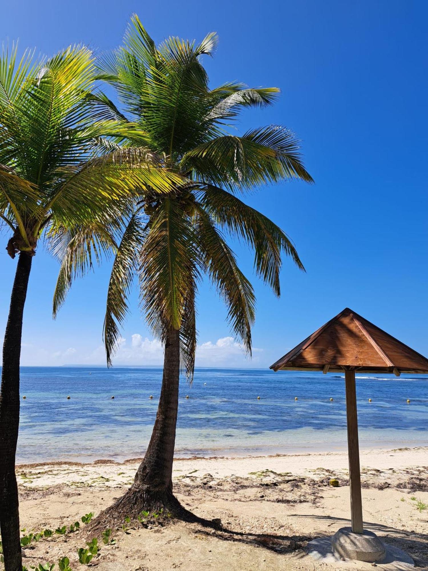 Studios Angoreva Vue Mer - Cote Plage Ou Jardin - Village Vacances - Sainte-Anne Guadeloupe Courcelles Экстерьер фото